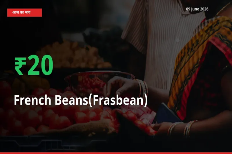 तेज़ तेजी! मंडी में फ़्रेंच बीन्स (फ़्रासबीन) के दाम 19.92% चढ़े
