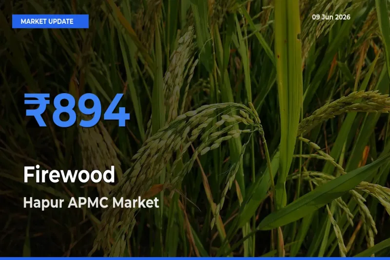 Farmers Prefer Hapur APMC as Firewood Hits Highest Rate
