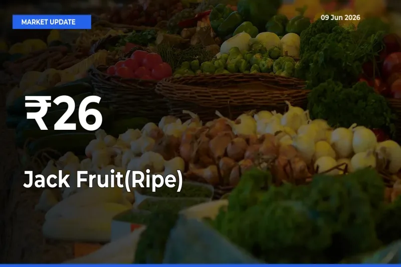 Jack Fruit(Ripe) Prices Gain Momentum Across 26+ Mandis – Market Trend Strengthens