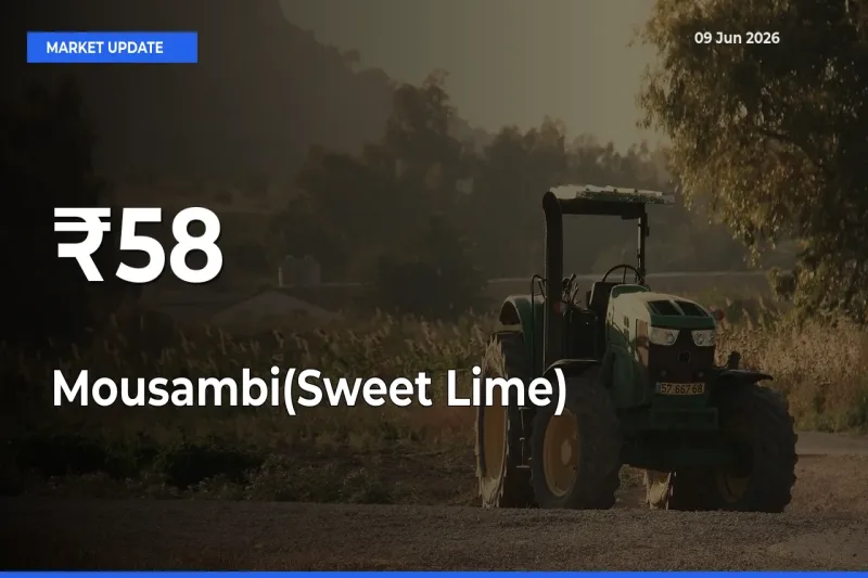Mousambi(Sweet Lime) Prices Trend Across 58+ Mandis – Market Direction Turns Clear