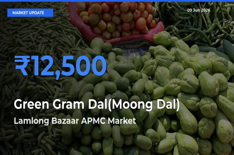 Market Watch: Lamlong Bazaar APMC Becomes Top Mandi for Green Gram Dal(Moong Dal)