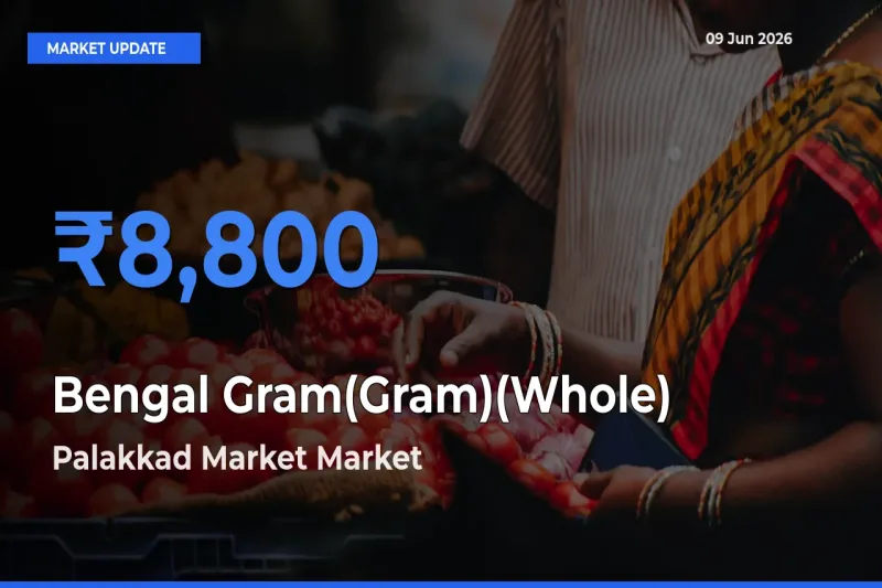 Bengal Gram(Gram)(Whole) Mandi Rate Today: Palakkad Market Tops the List