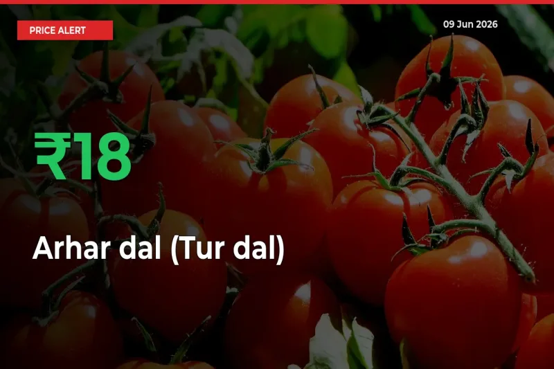 Farmers Cheer as Arhar dal (Tur dal) Prices Surge 18.31% in Local Mandis