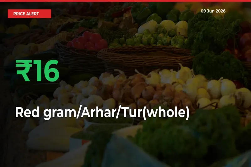16.04% Spike in Red gram/Arhar/Tur(whole) Prices – Mandi Sees Sudden Rally