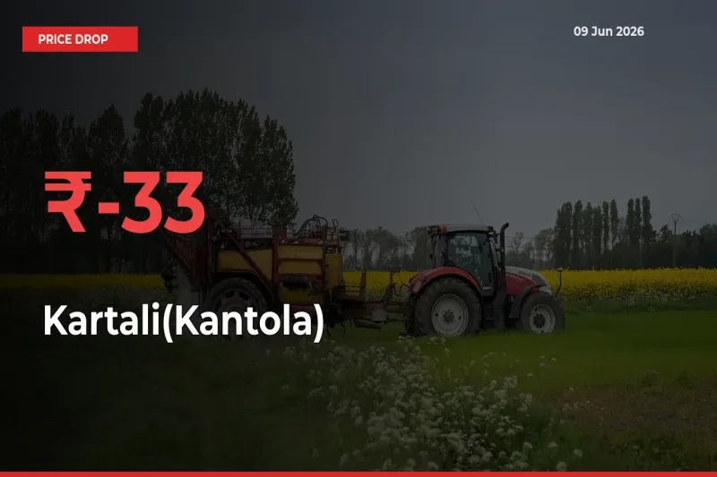 32.73% Drop in Kartali(Kantola) Prices – Mandi Sees Sudden Fall