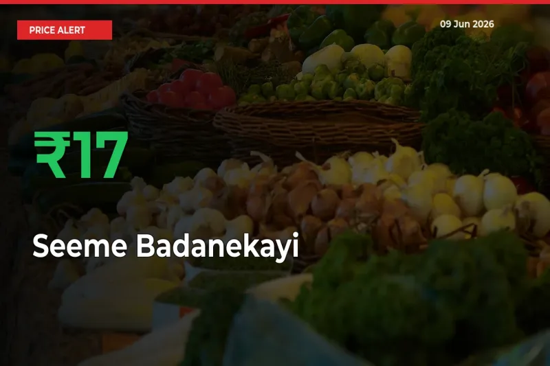 Sudden 16.88% Rally in Seeme Badanekayi Prices Across Mandis