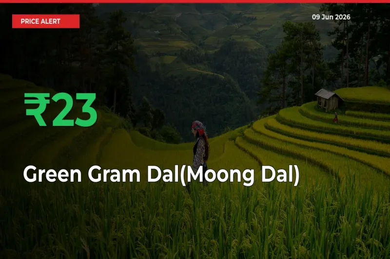 Green Gram Dal(Moong Dal) Prices Rise 23.09% in a Day at Major Mandis