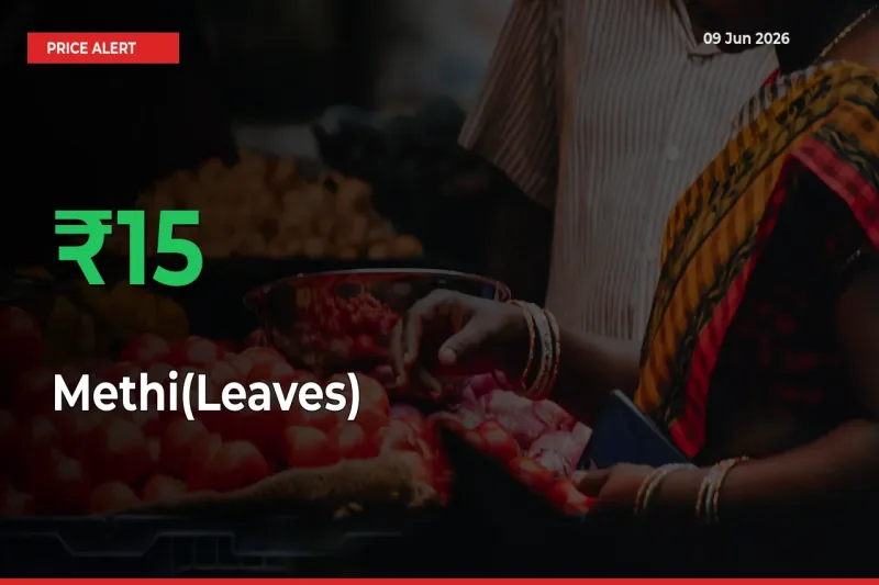 Why Methi(Leaves) Prices Rose 15.1% in a Day at Mandis