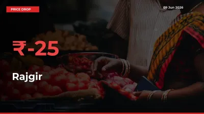 Rajgir Mandi Rate Today: Prices Fall 24.85% at Market