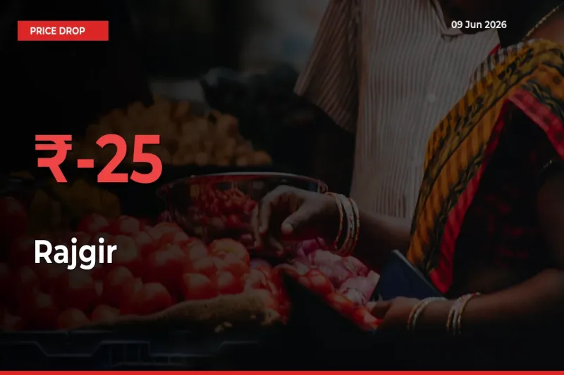 Rajgir Mandi Rate Today: Prices Fall 24.85% at Market