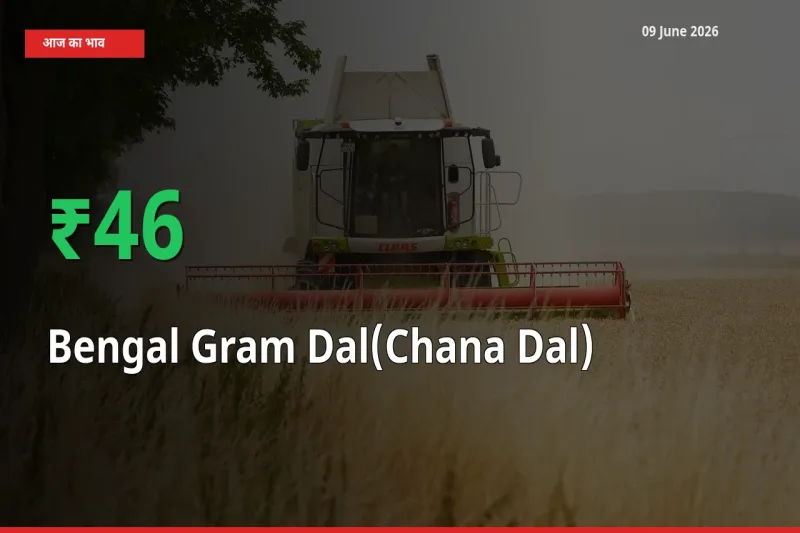 अचानक तेजी! मंडी में चना दाल के दाम 45.54% चढ़े