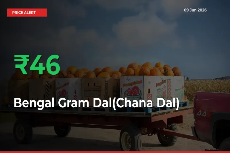 Farmers Cheer as Bengal Gram Dal(Chana Dal) Prices Surge 45.54% in Local Mandis