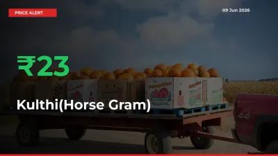 Farmers Cheer as Kulthi(Horse Gram) Prices Surge 23.37% in Local Mandis