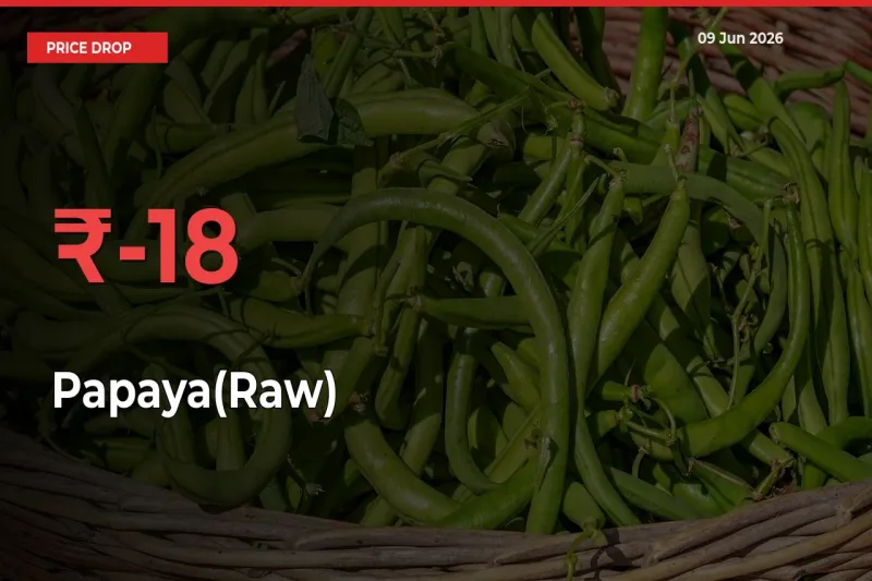 Sharp Fall! Papaya(Raw) Prices Plunge 18.46% in a Day at Key Mandis