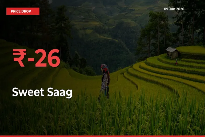 Sweet Saag Falls 26.46% at Mandis