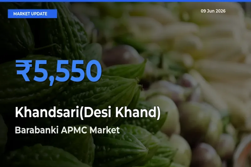 Barabanki APMC Tops Khandsari(Desi Khand) Mandi Rates Today