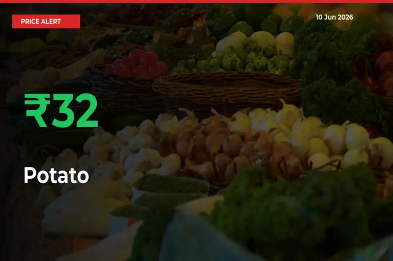 Sharp Jump! Potato Prices Climb 31.62% in 24 Hours at Key Mandis