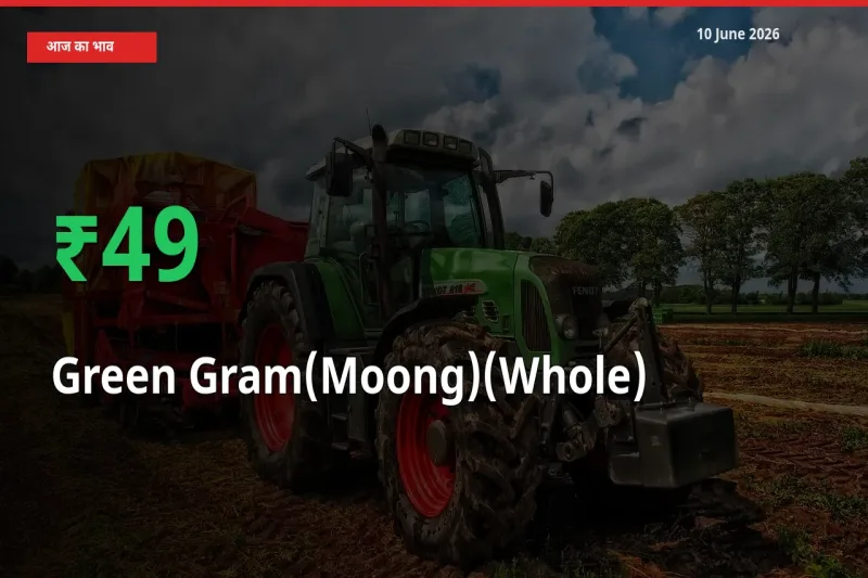 अचानक तेजी! मंडी में साबुत मूंग के दाम 49.03% चढ़े