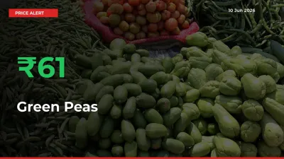 Green Peas Prices Rise 60.61% in a Day at Major Mandis