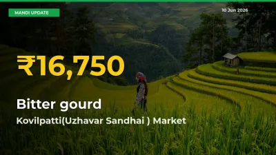 Fresh Record! Bitter gourd Price Climbs to New High in Kovilpatti(Uzhavar Sandhai )