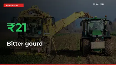 Why Bitter gourd Prices Rose 21.28% in a Day at Mandis