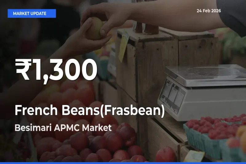 Why French Beans(Frasbean) Prices Slumped in Besimari APMC – 30-Day Low Today