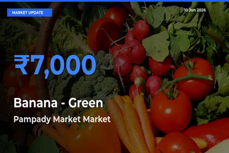 Pampady Market Leads as Top Mandi for Banana - Green Prices