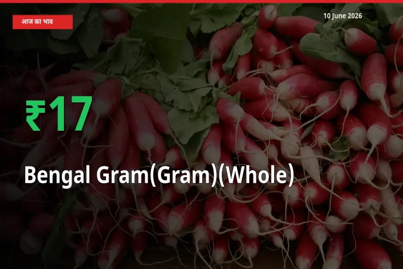 स्थानीय मंडी में चना (साबुत) के दाम अचानक 17.08% उछले, किसान सतर्क
