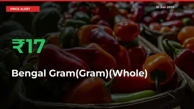 Sharp Jump! Bengal Gram(Gram)(Whole) Prices Climb 17.08% in 24 Hours at Key Mandis