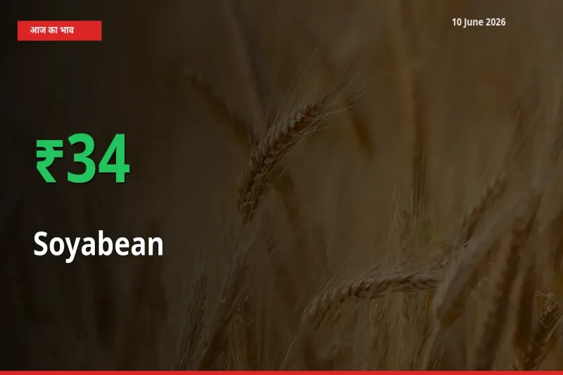 अचानक तेजी! मंडी में सोयाबीन के दाम 33.55% चढ़े