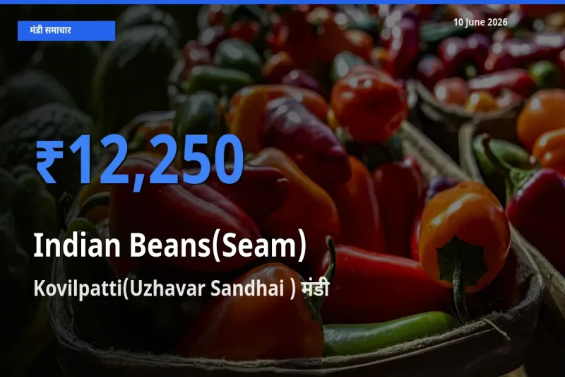बाज़ार संकेत: Kovilpatti(Uzhavar Sandhai ) बना सेम (देशी) के लिए आज की टॉप मंडी