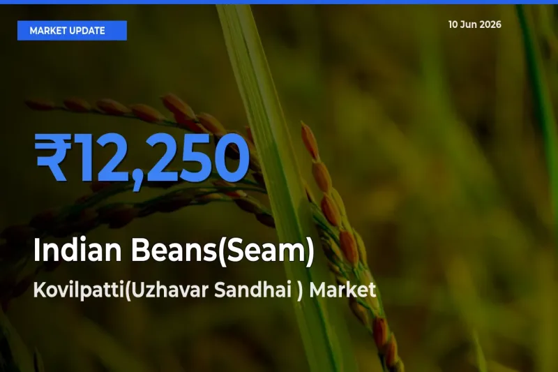 Kovilpatti(Uzhavar Sandhai ) Records Highest ₹12,250 Rate for Indian Beans(Seam)