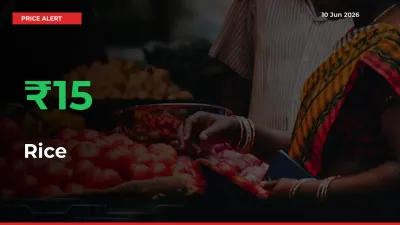 Big Rally! Rice Climbs 15.39% in 24 Hours at Top Mandis