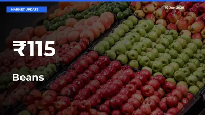Beans Prices Gain Momentum Across 115+ Mandis – Market Trend Strengthens