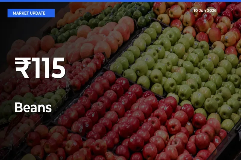 Beans Prices Gain Momentum Across 115+ Mandis – Market Trend Strengthens