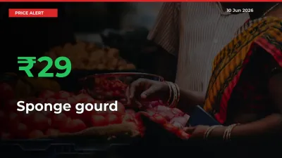 Why Sponge gourd Prices Rose 28.88% in a Day at Mandis