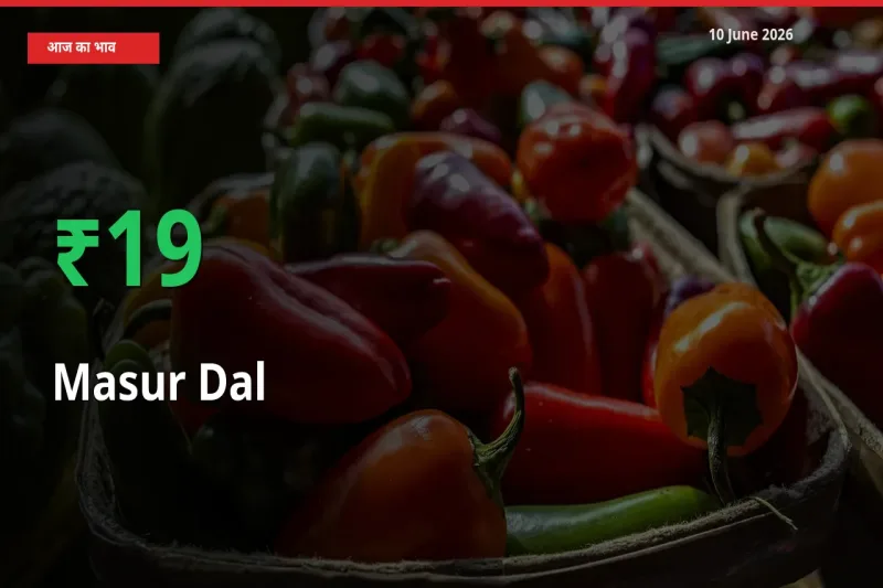 मसूर दाल के दाम प्रमुख मंडी में 19.44% बढ़े, 24 घंटे में बड़ा बदलाव