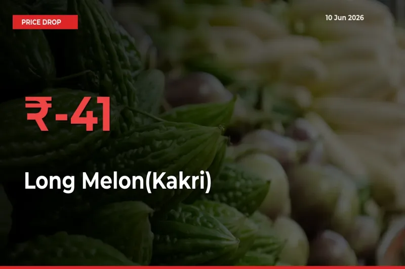 Why Long Melon(Kakri) Prices Fell 40.51% in a Day at Mandis