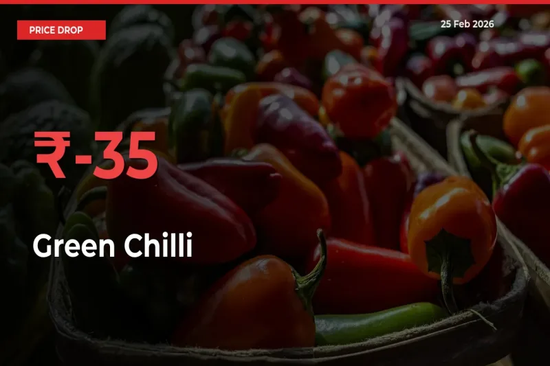 34.7% Drop in Green Chilli Prices – Mandi Sees Sudden Fall