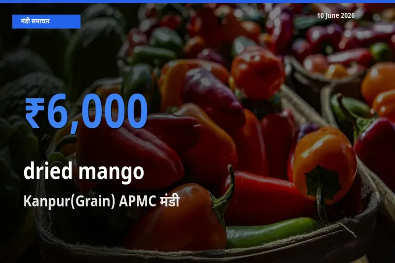 10 June अपडेट: सूखा आम के सबसे ऊँचे दाम Kanpur(Grain) APMC मंडी में