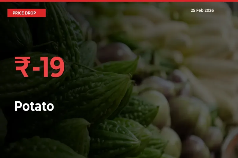 Sudden Shock! Potato Drops 19.31% in 24 Hours at Top Mandis