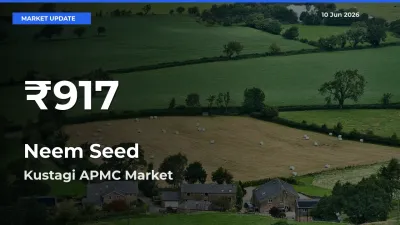 Neem Seed Mandi Rate Today: 30-Day Low Recorded in Kustagi APMC