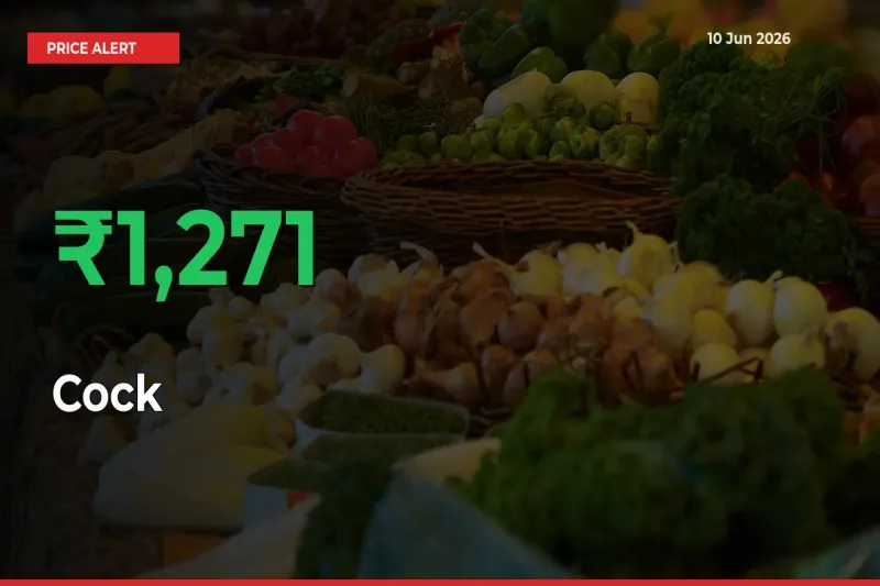 Cock Mandi Rate Today: Prices Jump 1271.17% at Market
