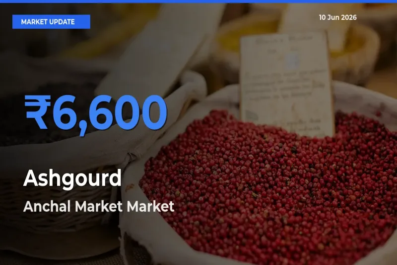 Anchal Market Emerges as Top Mandi for Ashgourd Prices Today