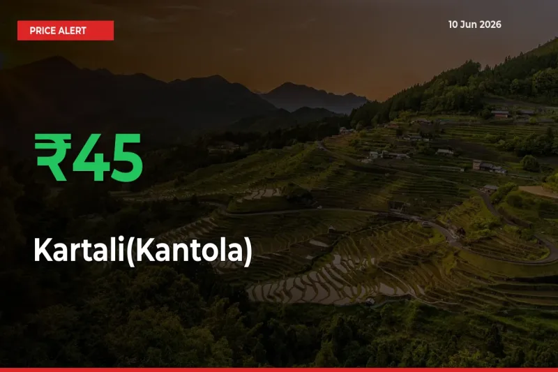 Kartali(Kantola) Rises 45.24% at Mandis