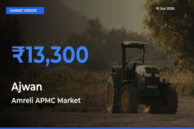 Amreli APMC Tops Ajwan Rates – June 10 Market Update