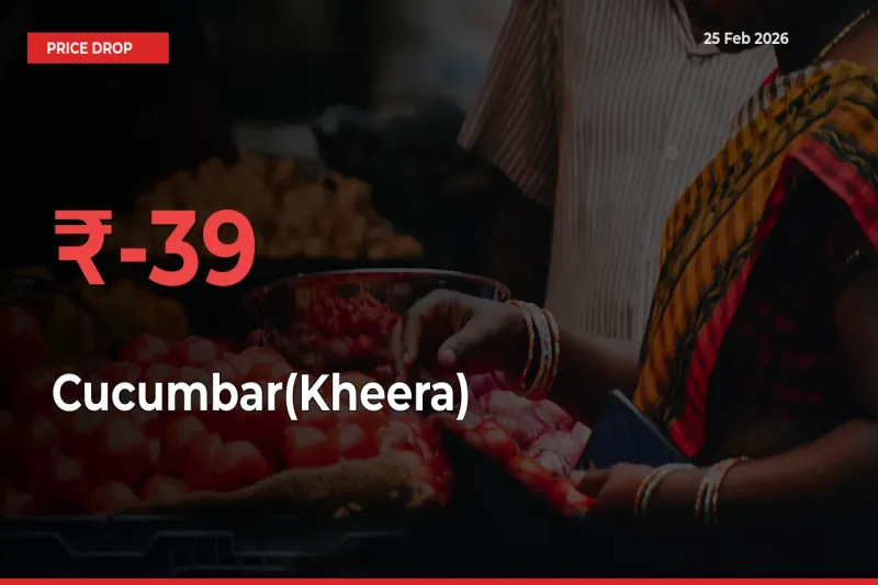 Sudden Shock! Cucumbar(Kheera) Drops 38.51% in 24 Hours at Top Mandis