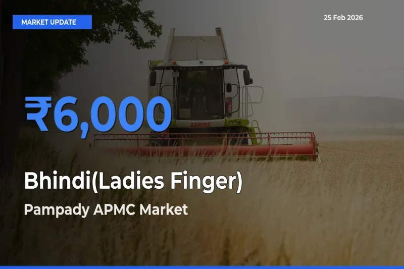 Farmers Prefer Pampady APMC as Bhindi(Ladies Finger) Hits Highest Rate