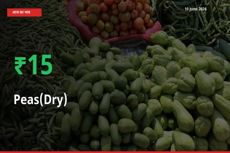 किसानों के लिए खुशखबरी! स्थानीय मंडी में सूखी मटर 15.19% उछला