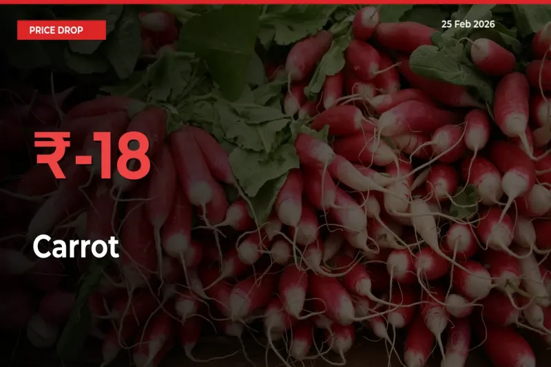 Farmers Alert as Carrot Prices Slide 18.31% in Local Mandis